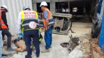 חובשי "ארגון הצלה" מעניקים טיפול לפצוע ברחוב נורדאו בתל אביב (צילום: ארגון הצלה)