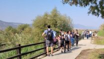 שמורת הטבע החולה (צילום: עידו שקד רשות הטבע והגנים)