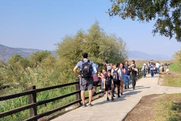 שמורת הטבע החולה (צילום: עידו שקד רשות הטבע והגנים)