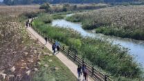 שמורת הטבע החולה (צילום: עידו שקד רשות הטבע והגנים)