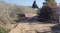 מוקד שפעת העופות בחוות תרנגולי הודו ליד מושב בית חירות (צילום: משרד החקלאות)