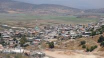 בועיינה נוג'ידאת (צילום: מיכאל יעקובסון / ויקימדיה קומונס)