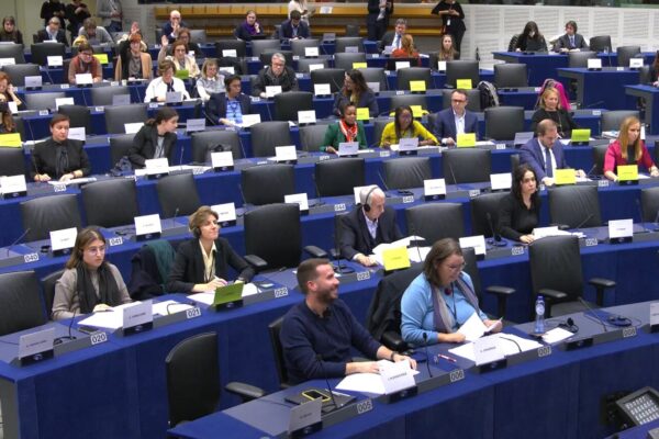 ועדת העבודה של האיחוד האירופי (צילום מסך מתוך שידורי הוועדה)