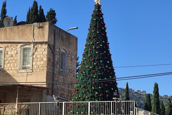 עץ חג המולד בחצר הכנסייה (צילום: יניב שרון)