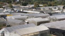 מכון וולקני (צילום באדיבות מכון וולקני).