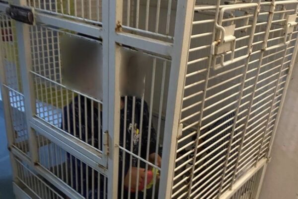 הכלוב בו אותר פעוט בן שנה וארבעה חודשים בדירה בחיפה (צילום: דוברות המשטרה)