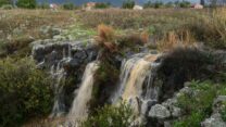 נחל קצרין ברמת הגולן (צילום: מיכאל גלעדי/פלאש90)