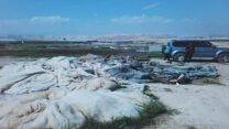 רשתות צל שנגנבו ממושב נעמה בבקעת הירדן (צילום: משטרת ישראל)