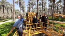 סגן שר החקלאות בסיור בבקעת הירדן (צילום: דוברות סגן שר החקלאות)