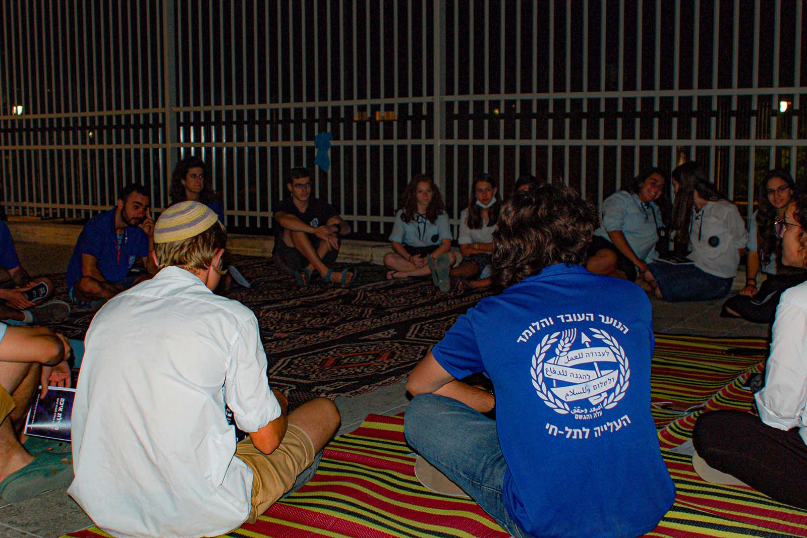 Discussion circles with members of HaNoar HaOved v’Halomed, Bnei Akiva and Dror Israel (Photo: David Tversky).