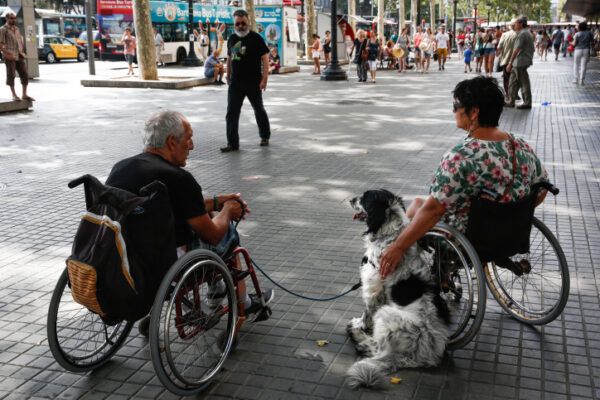 אנשים בכיסאות גלגלים  (צילום אילוסטרציה: נתי שוחט / פלאש 90)