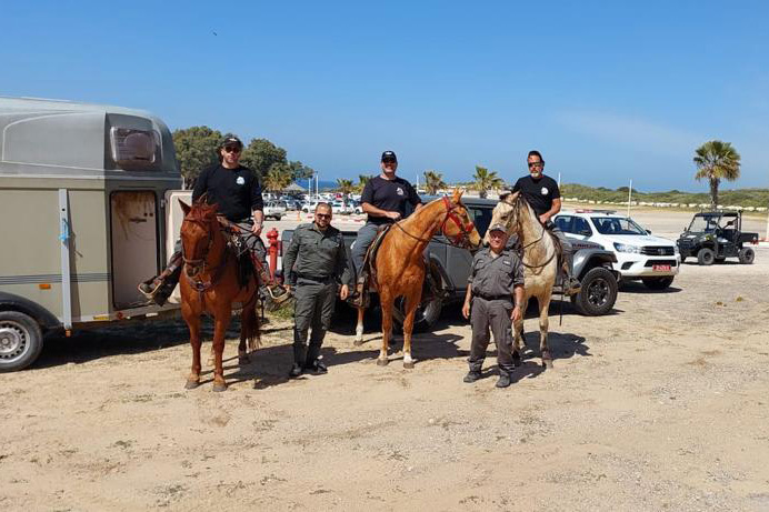 שוטרים וסוסים משתתפים בחיפושים (צילום: חברת החשמל)