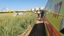 זירת התרסקות מסוק קל בשרון, סמוך לנתניה (צילום: דוברות מד״א)