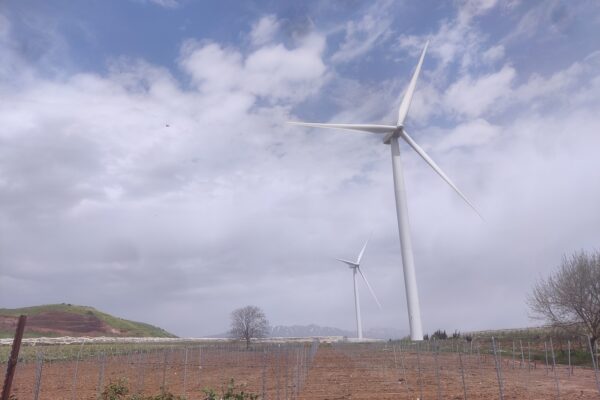 טורבינות רוח בשדה ברמת הגולן (צילום: אור גואטה)