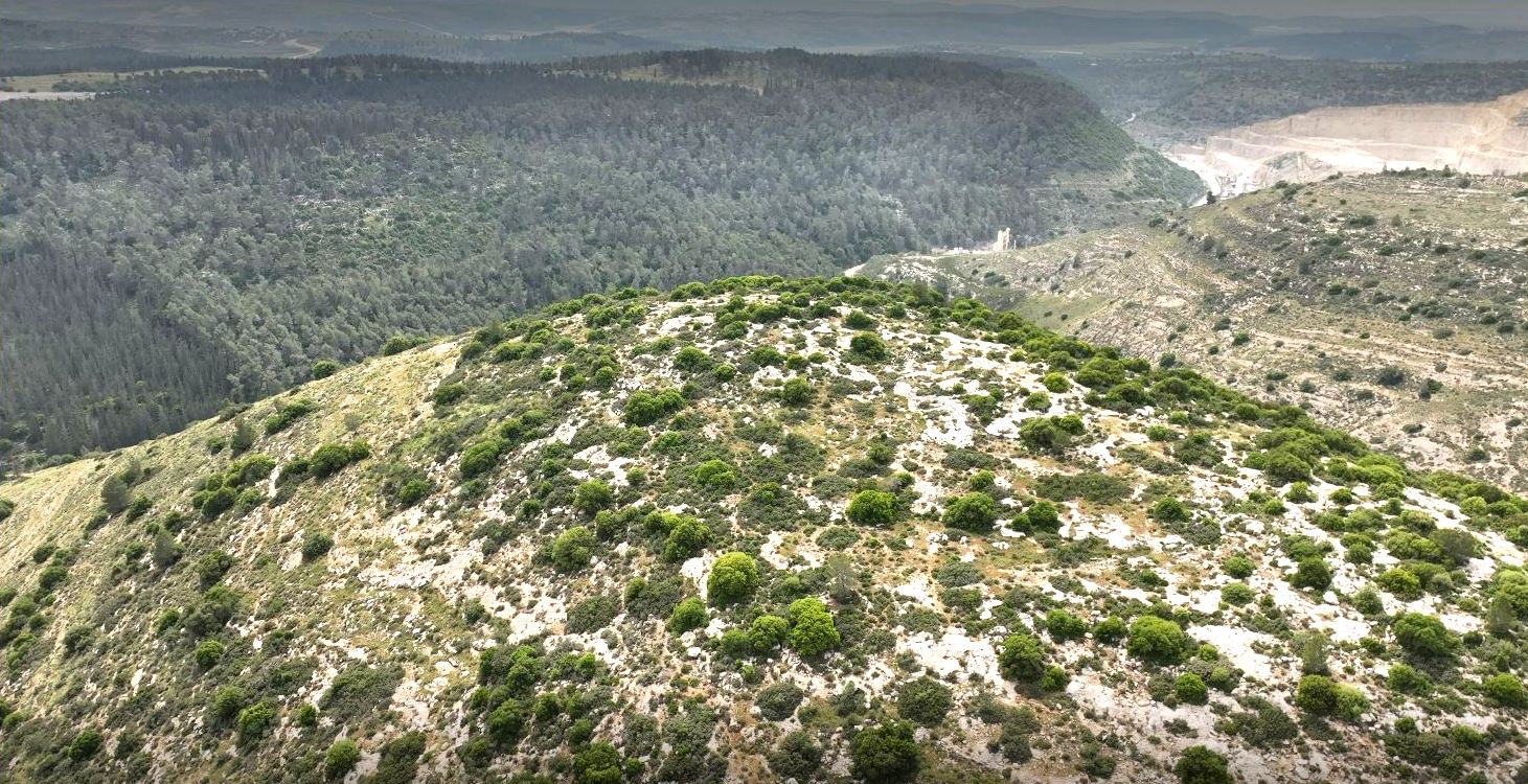 גבעת הקרב בשפלת יהודה (צילום: איל מרקו, רשות העתיקות)