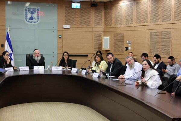 דיון בוועדת העבודה והרווחה בנושא הוצאת ילדים מבתיהם (צילום: נועם מושקוביץ/דוברות הכנסת)