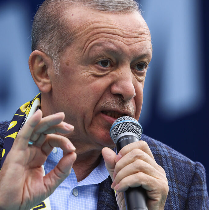 נשיא טורקיה ארדואן  (צילום: AP Photo/Ali Unal)