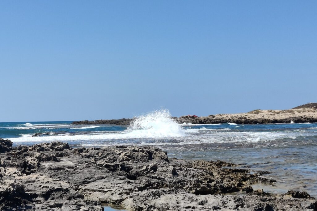 גלים בחוף דור (צילום: אור גואטה) גלים בחוף דור (צילום: אור גואטה)