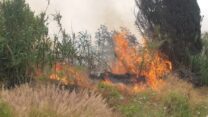 שריפת חורש ליד פתח תקווה (צילום: דוברות כבאות והצלה)