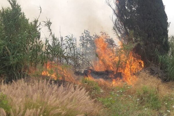שריפת חורש ליד פתח תקווה (צילום: דוברות כבאות והצלה)