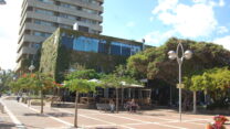 עיריית חולון (צילום: כלנית קין/ויקימדיה)