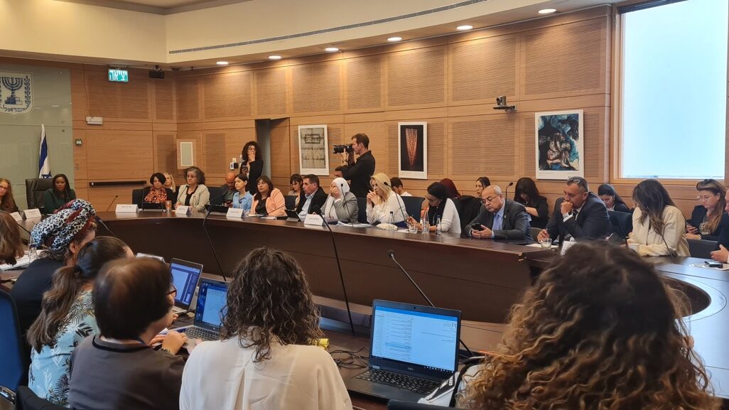 כינוס מיוחד של הוועדה לקידום מעמד האישה בכנסת (צילום: הדס יום טוב) כינוס מיוחד של הוועדה לקידום מעמד האישה בכנסת (צילום: הדס יום טוב)