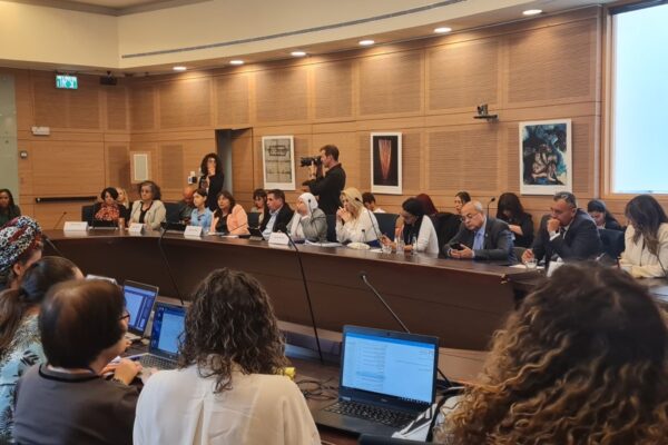 כינוס מיוחד של הוועדה לקידום מעמד האישה בכנסת (צילום: הדס יום טוב)