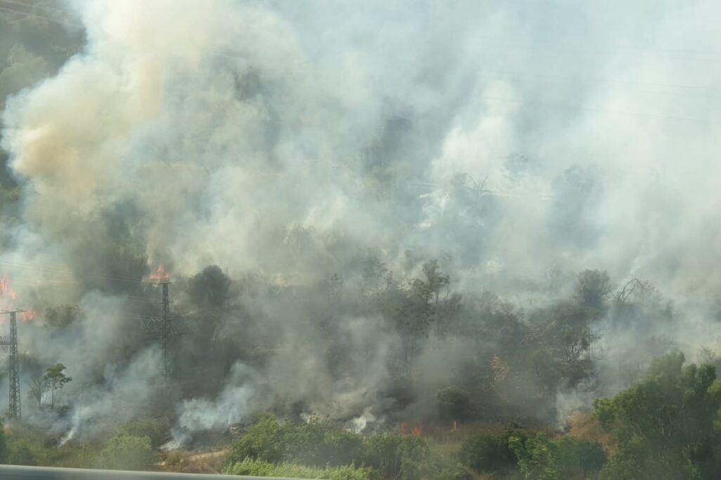 השריפה בעמק הארזים סמוך לירושלים (צילום: דוברות כבאות והצלה)