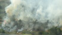 השריפה בעמק הארזים סמוך לירושלים (צילום: דוברות כבאות והצלה)