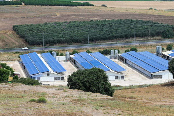 פנלים סולריים על מבני חקלאות בעמק יזרעאל (צילום: אור גואטה)