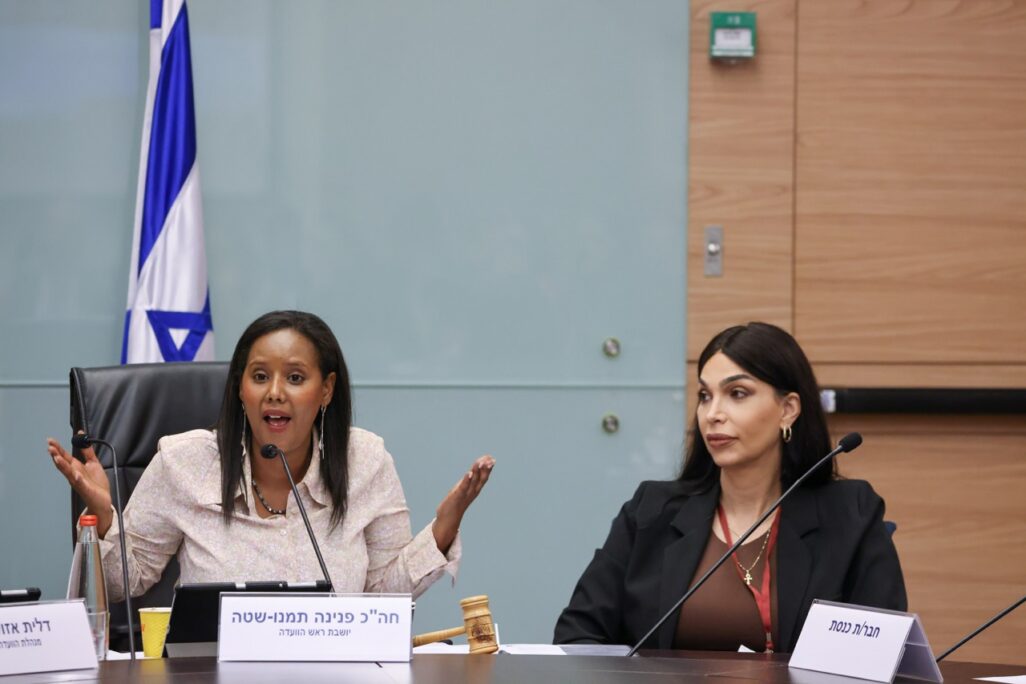 יו״ר הוועדה לקידום מעמד האישה של הכנסת, ח״כ פנינה תמנו שטה בדיון על מצב אוכלוסיית הנשים הטרנסיות בישראל (צילום: נועם מושקוביץ׳, דוברות הכנסת)