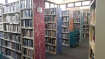 ספריה ציבורית (צילום אילוסטרציה: רון ניסל)