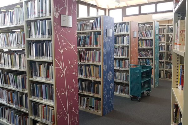 ספריה ציבורית (צילום: רון ניסל)