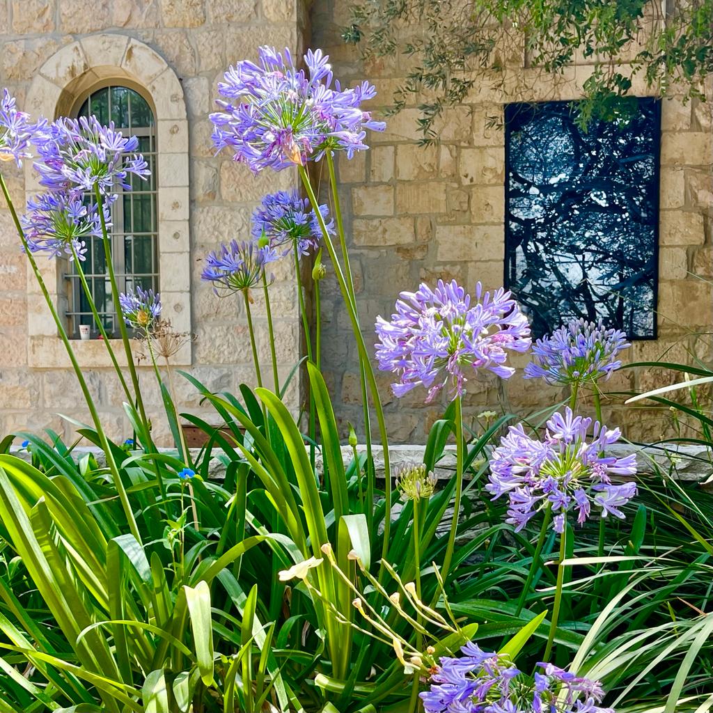 תערוכה חדשה בבית אנה טיכו בירושלים (צילום: מוזיאון ישראל, ירושלים, זוהר שמש)