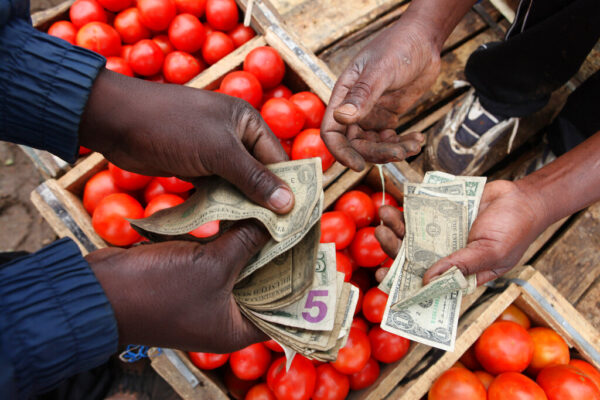 מסחר עגבניות בזימבאבווה. הסחר הבינלאומי יצטרך לגדול (צילום: AP Photo/Tsvangirayi Mukwazhi)