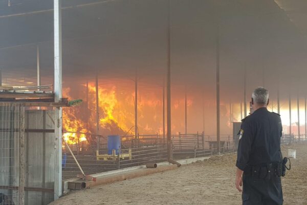 שריפת המתבן במושב רוויה (צילום: דוברות המשטרה)