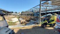 זירת התאונה ברפת של קיבוץ גן שמואל (צילום: איחוד הצלה גזרת זכרון-פרדס חנה)