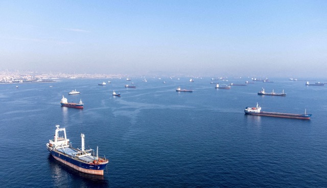 ספינות תבואה בים השחור לפני פקיעת הסכם החיטה בין רוסיה לאוקראינה (צילום: REUTERS/Umit Bektas/File Photo)