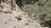 נחל דוד לאחר מפולת הסלעים ופינוי הפצועים (צילום: ליאור לב/רשות הטבע והגנים)