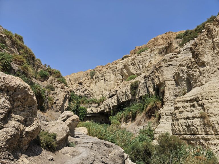 מקום האסון בנחל דוד לאחר מפולת הסלעים ופינוי הפצועים (צילום: ליאור לב/רשות הטבע והגנים)