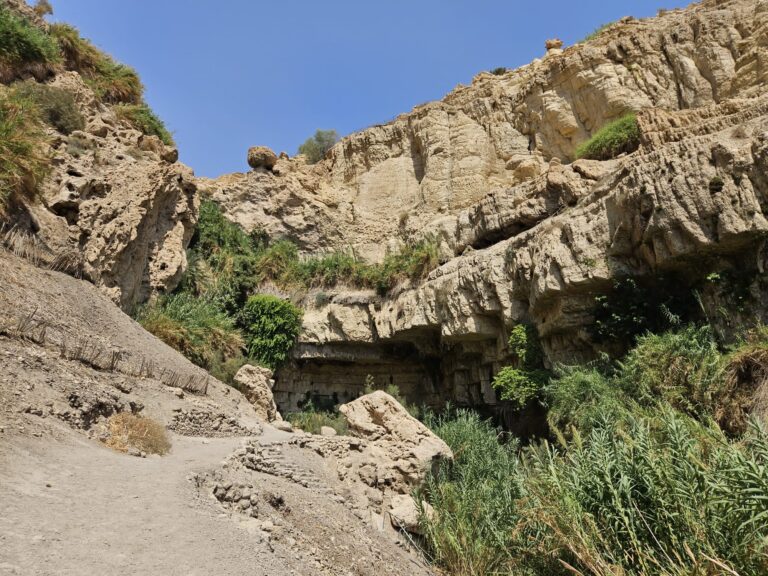 מקום האסון בנחל דוד לפני המפולת (צילום: ליאור לב/רשות הטבע והגנים)