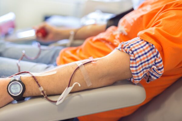 תרומת דם (צילום אילוסטרציה: Shutterstock)