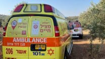 מטע הזיתים שבו נמצאו הקורבנות ליד אבו סנאן (צילום: תיעוד מבצעי מד"א)