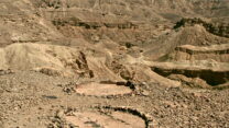 שטח אתר החפירה (צילום: איתמר קסטל, רשות העתיקות)