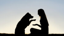 (קרדיט: depositphotos)