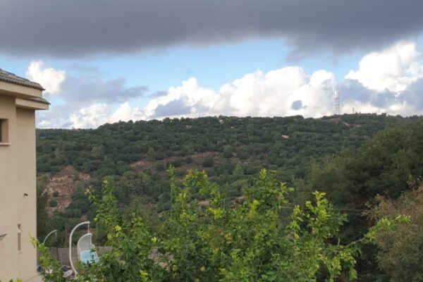 תמונה ממרפסת ביתה של שנית אמירי, המשקיפה אל לבנון (צילום: דוד טברסקי)