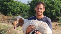 חנן שור, מנהל 'מטעי השקמה' ומנהל מקצועי של התארגנות מגדלי האבוקדו בדרום (צילום: אלבום פרטי)