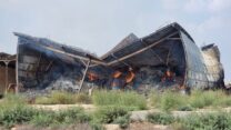 המתבן ההרוס בעלומים (צילום: אבי פריימן וסטיבי מרקוס)