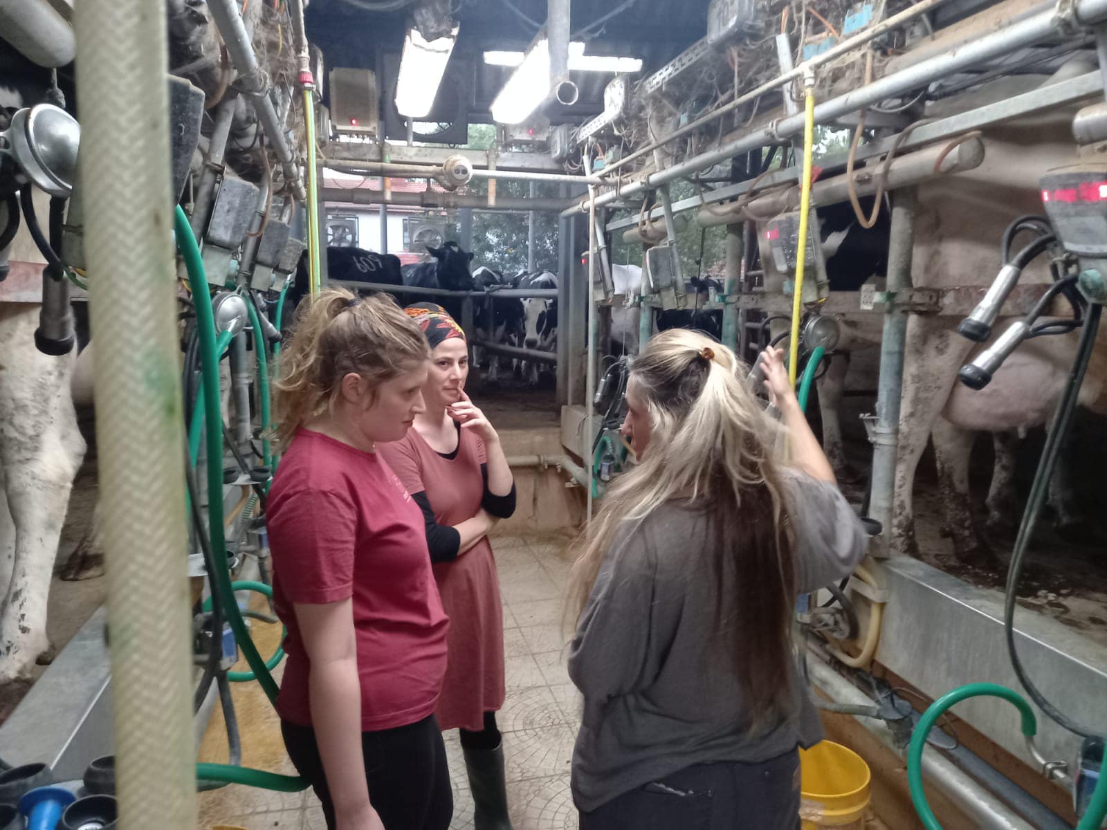 Sarit Yoker and her partner Sivan Lacker training volunteers to milk cows. &quot;People come in who have no clue what they’re doing. The training makes it tangible&quot; (Photo: Private album).