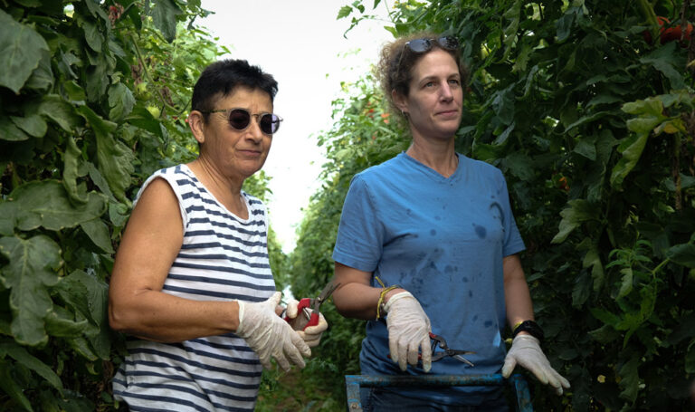מרטין (משמאל) וטל. &quot;מאז המלחמה, עלתה המודעות לחקלאות ישראלית&quot; (צילום: דוד טברסקי)